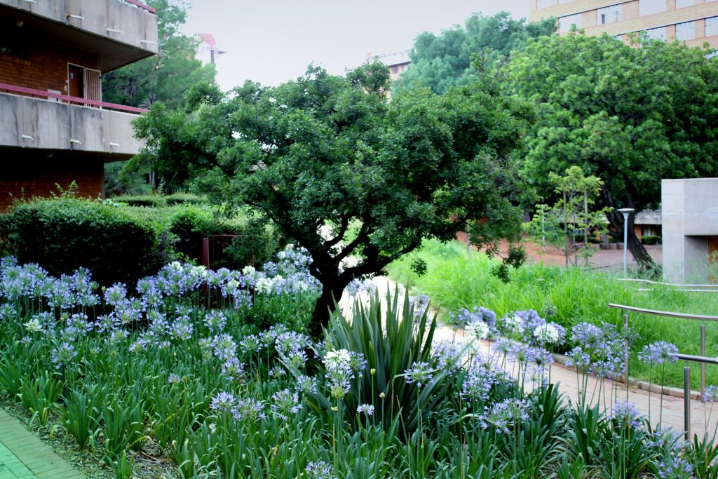 How Sustainable Landscaping Lowers Operating Costs for Facilities