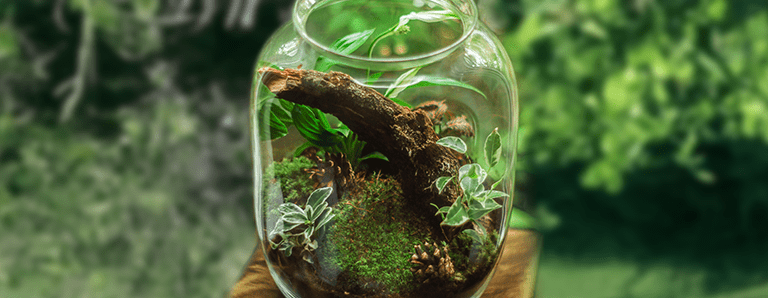 Help your business go green with smart environmental management solutions