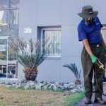 Why Regular Pest Inspections Are Critical for Workplace Safety