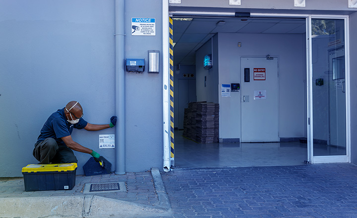 Compliance and Pest Control: What Businesses Need to Know