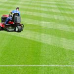 Preventing Turf Deterioration Through Proactive Seasonal Maintenance